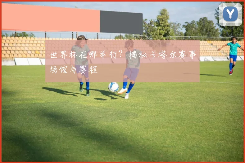 世界杯在哪举行？揭秘卡塔尔赛事场馆与赛程
