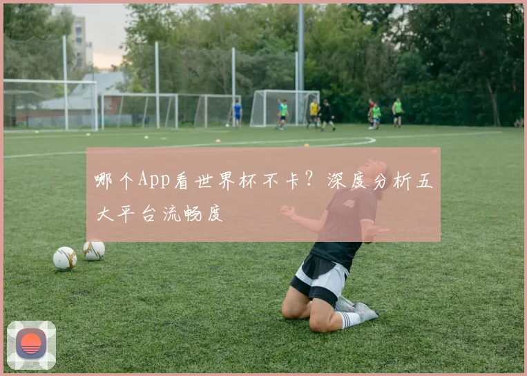 哪个App看世界杯不卡？深度分析五大平台流畅度